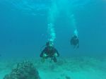 Hawaii Scuba divng 25