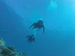 Hawaii Scuba divng 26