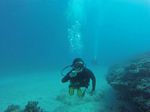 Hawaii Scuba divng 27