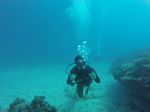 Hawaii Scuba divng 29