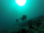 Hawaii Scuba divng 32