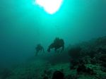 Hawaii Scuba divng 33