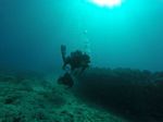 Hawaii Scuba divng 36