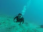 Hawaii Scuba divng 42