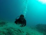 Hawaii Scuba divng 43