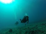 Hawaii Scuba divng 46