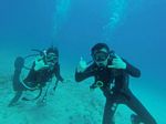 Hawaii Scuba divng 52