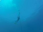 Hawaii Scuba divng 56