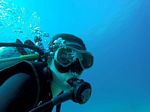 Hawaii Scuba divng 69