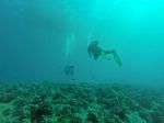 Hawaii Scuba divng 75