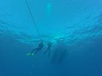 Hawaii Scuba divng 07