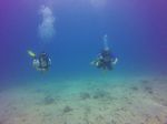 Hawaii Scuba divng 10