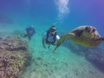 Hawaii Scuba divng 11