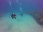 Hawaii Scuba divng 17