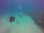 Hawaii Scuba divng 18