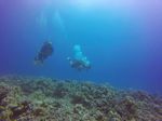 Hawaii Scuba divng 19