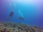 Hawaii Scuba divng 20