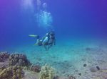 Hawaii Scuba divng 21