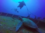 Hawaii Scuba divng 03