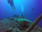 Hawaii Scuba divng 06