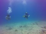 Hawaii Scuba divng 09