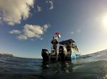 Hawaii Scuba divng 19