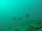 Hawaii Scuba divng 24