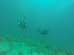 Hawaii Scuba divng 27