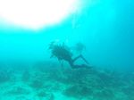 Hawaii Scuba divng 02