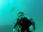 Hawaii Scuba divng 48