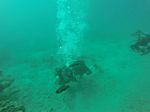 Hawaii Scuba divng 59