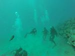 Hawaii Scuba divng 62