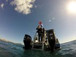 Hawaii Scuba divng 63