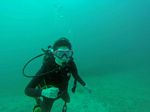 Hawaii Scuba divng 06