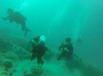 Hawaii Scuba divng 73