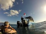 Hawaii Scuba divng 08