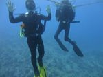 Hawaii Scuba divng 15