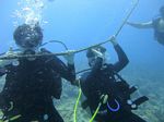 Hawaii Scuba divng 16