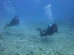 Hawaii Scuba divng 22