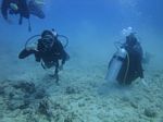 Hawaii Scuba divng 23