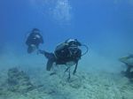 Hawaii Scuba divng 24