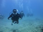 Hawaii Scuba divng 27