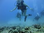 Hawaii Scuba divng 29