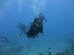 Hawaii Scuba divng 35