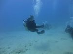 Hawaii Scuba divng 51