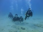 Hawaii Scuba divng 51