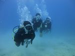 Hawaii Scuba divng 52