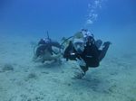 Hawaii Scuba divng 53