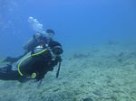 Hawaii Scuba divng 57