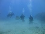 Hawaii Scuba divng 68